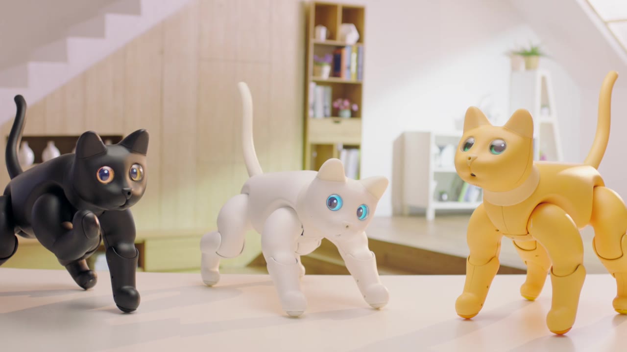 Black, white and ginger MarsCats walking together in a living room